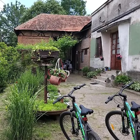Domacinstvo Ukusno Markovic Kır Evi Brusnik (Zajecar)