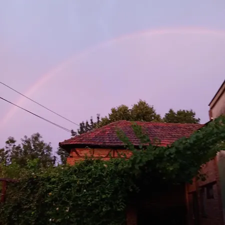 Domacinstvo Ukusno Markovic *