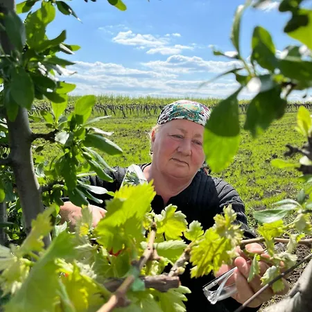 Kır Evi Domacinstvo Ukusno Markovic